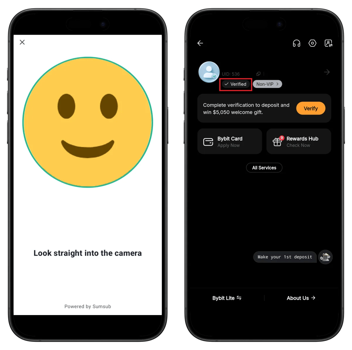 Bybit Verification Complete