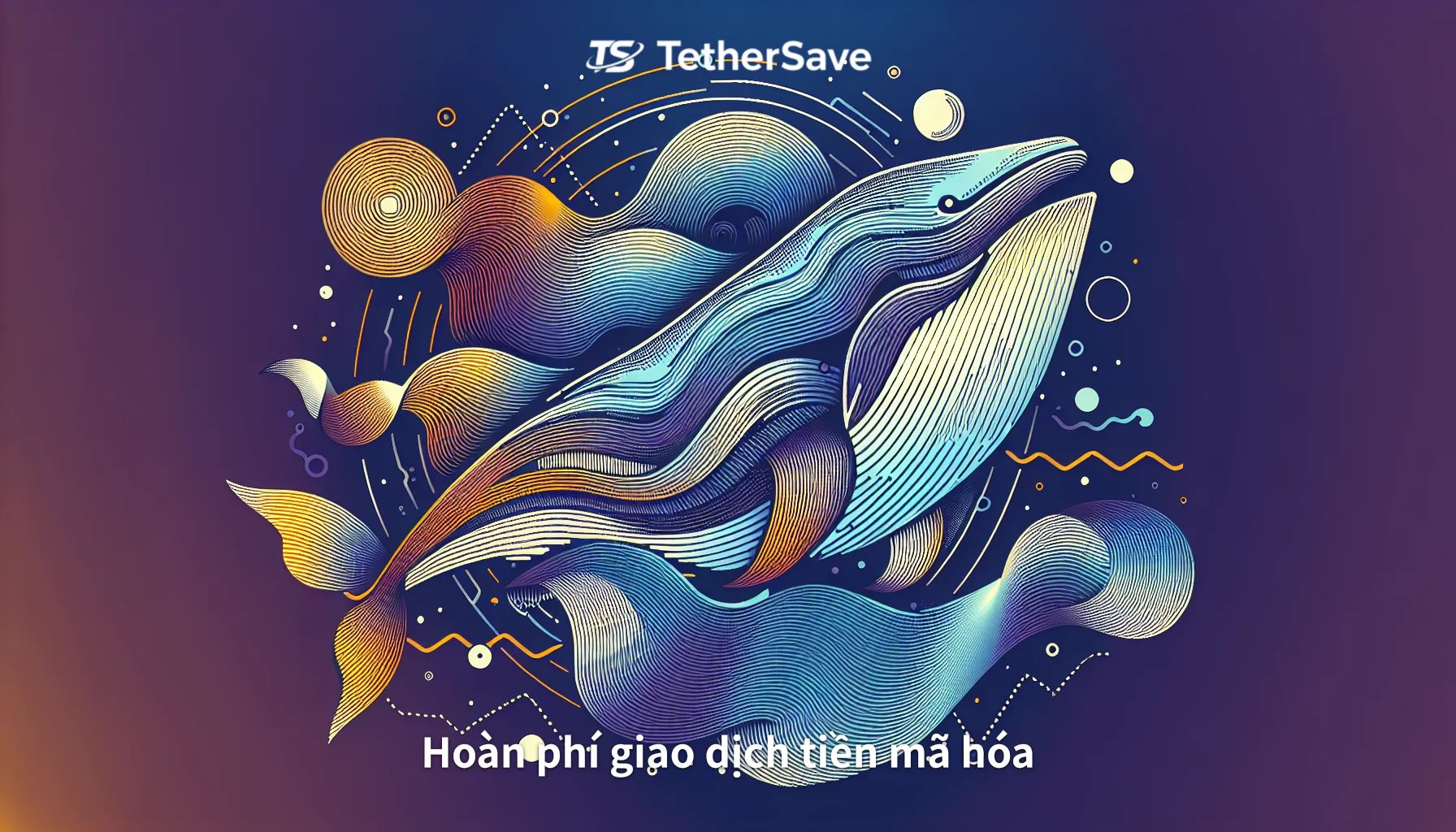 XRP Tăng Đà Nhờ Sự Quan Tâm Từ 'Whale'